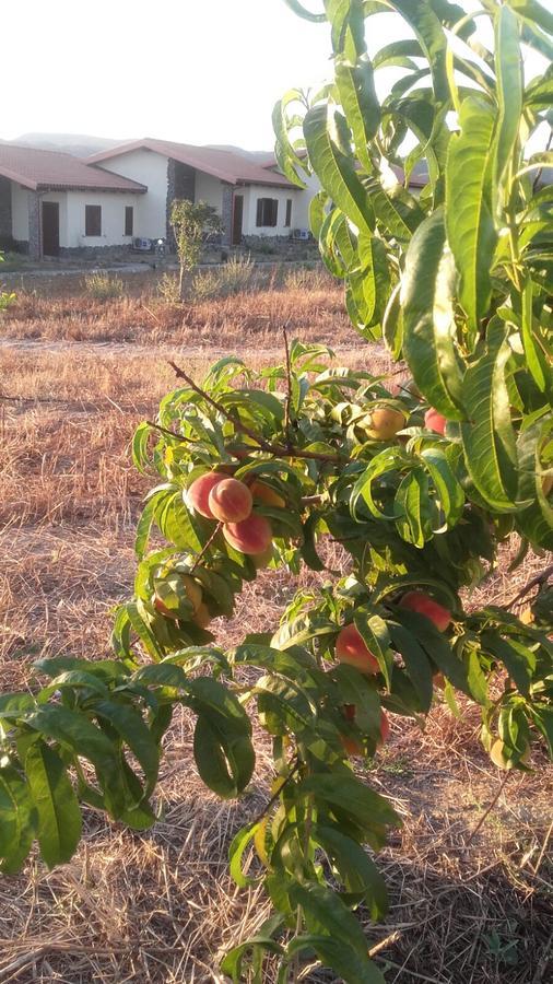 Agriturismo Gennemara B&B Perdaxius Eksteriør bilde